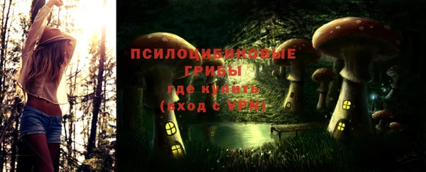 ALPHA PVP Богородицк
