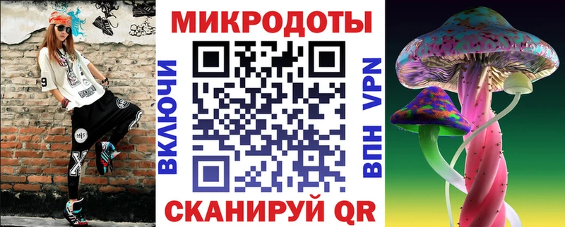 Купить где Шиханы Псилоцибиновые грибы GOLDEN TEACHER